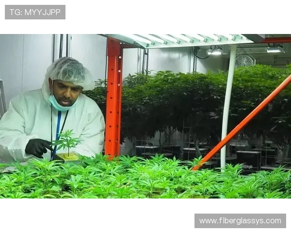 满冠体育在线登录入口无法访问怎么办？详细解决方案与常见问题排查指南